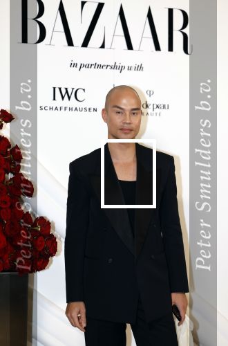 Amsterdam 15 november 2023
Harpers Bazaar woman of the year in het Stedelijk Museum . Roger Brunings
