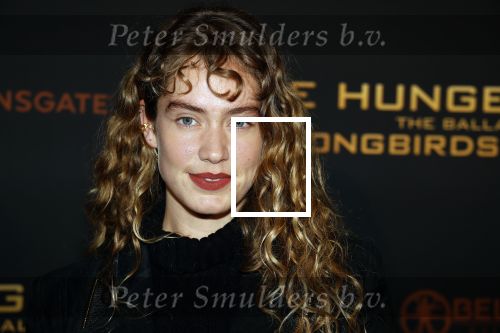 Amsterdam 14 november 2023
Premiere the hungar games . Sharon Pieksma