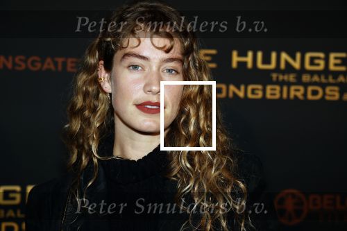 Amsterdam 14 november 2023
Premiere the hungar games . Sharon Pieksma