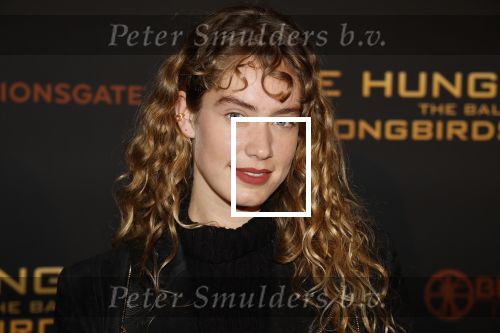 Amsterdam 14 november 2023
Premiere the hungar games . Sharon Pieksma