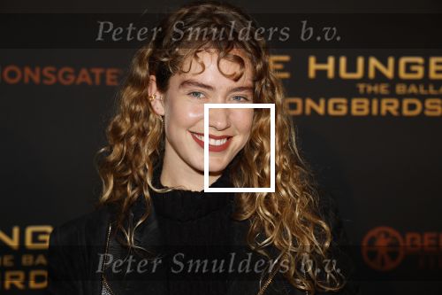 Amsterdam 14 november 2023
Premiere the hungar games . Sharon Pieksma