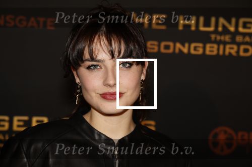 Amsterdam 14 november 2023
Premiere the hungar games .
Sophie Bouquet
