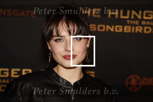 Amsterdam 14 november 2023
Premiere the hungar games .
Sophie Bouquet