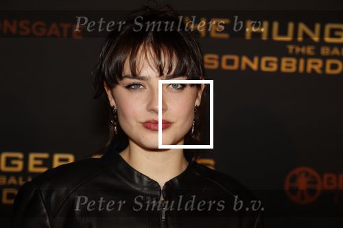 Amsterdam 14 november 2023
Premiere the hungar games .
Sophie Bouquet