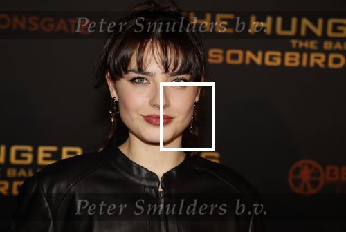 Amsterdam 14 november 2023
Premiere the hungar games .
Sophie Bouquet