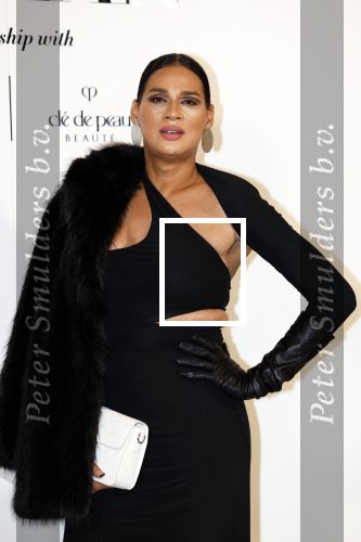 Amsterdam 15 november 2023
Harpers Bazaar woman of the year in het Stedelijk Museum . Sunny Jansen