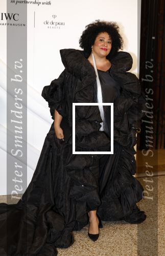 Amsterdam 15 november 2023
Harpers Bazaar woman of the year in het Stedelijk Museum . Tania Kross