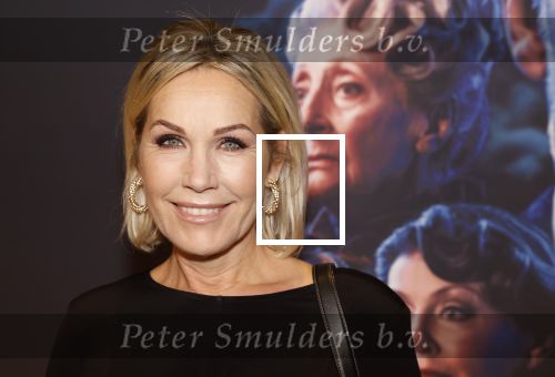 Zaandam 26 november 2023
Premiere van murder on the orient ezpress in het zaantheater. Tanja Jess