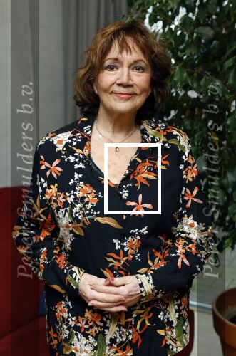 Amsterdam 22 november 2023
CD presentatie Liesbeth List in het Ramses Shaffy huis. Therese Steinmetz