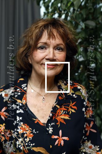 Amsterdam 22 november 2023
CD presentatie Liesbeth List in het Ramses Shaffy huis. Therese Steinmetz
