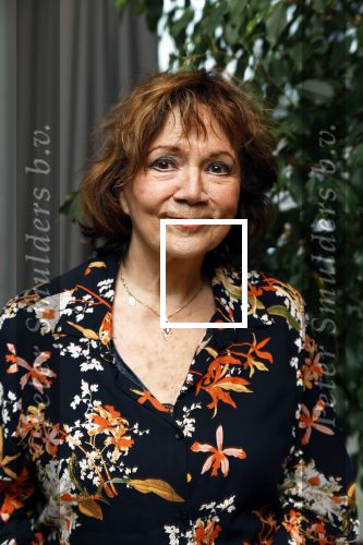 Amsterdam 22 november 2023
CD presentatie Liesbeth List in het Ramses Shaffy huis. Therese Steinmetz