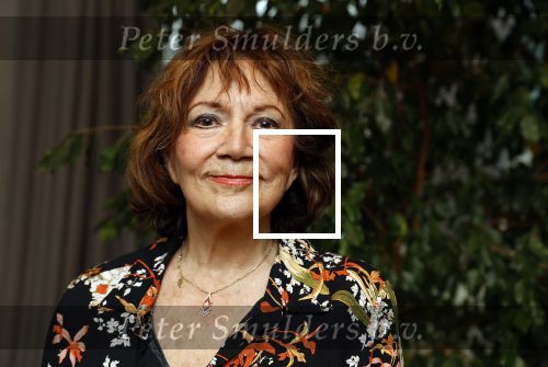 Amsterdam 22 november 2023
CD presentatie Liesbeth List in het Ramses Shaffy huis. Therese Steinmetz