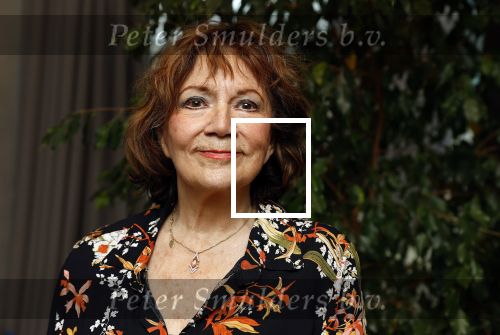 Amsterdam 22 november 2023
CD presentatie Liesbeth List in het Ramses Shaffy huis. Therese Steinmetz