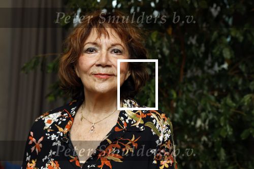 Amsterdam 22 november 2023
CD presentatie Liesbeth List in het Ramses Shaffy huis. Therese Steinmetz