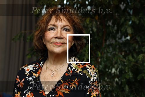Amsterdam 22 november 2023
CD presentatie Liesbeth List in het Ramses Shaffy huis. Therese Steinmetz