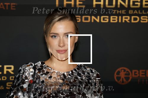 Amsterdam 14 november 2023
Premiere the hungar games . Victoria Vermeer