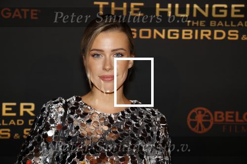 Amsterdam 14 november 2023
Premiere the hungar games . Victoria Vermeer