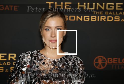 Amsterdam 14 november 2023
Premiere the hungar games . Victoria Vermeer