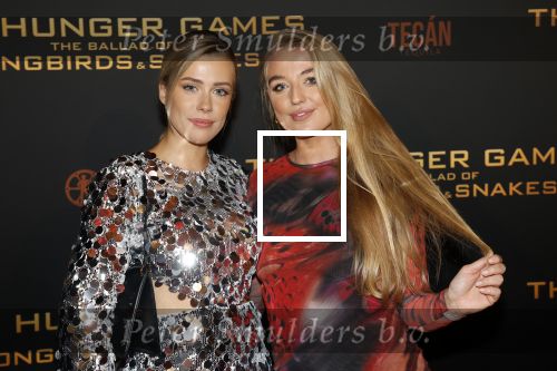 Amsterdam 14 november 2023
Premiere the hungar games . Victoria Vermeer