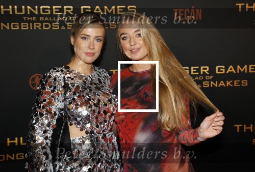 Amsterdam 14 november 2023
Premiere the hungar games . Victoria Vermeer