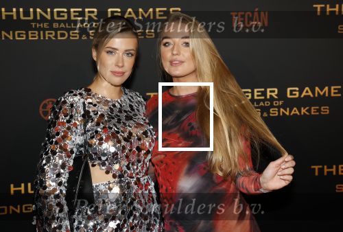 Amsterdam 14 november 2023
Premiere the hungar games . Victoria Vermeer