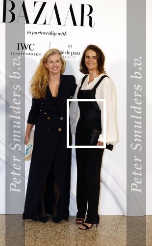 Amsterdam 15 november 2023
Harpers Bazaar woman of the year in het Stedelijk Museum . Willemijn Verloop
