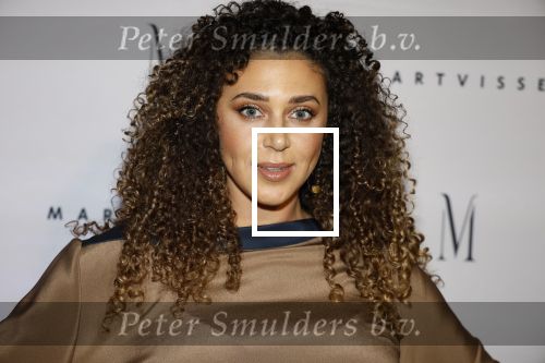 Amsterdam 6 november 2023
Premiere docu Mart Visser gemaakt door Marius Looijmans . De premiere was in het DeLamar theater. Yoelle Yade