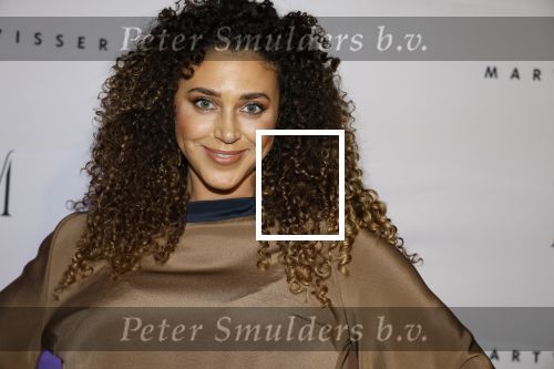 Amsterdam 6 november 2023
Premiere docu Mart Visser gemaakt door Marius Looijmans . De premiere was in het DeLamar theater. Yoelle Yade