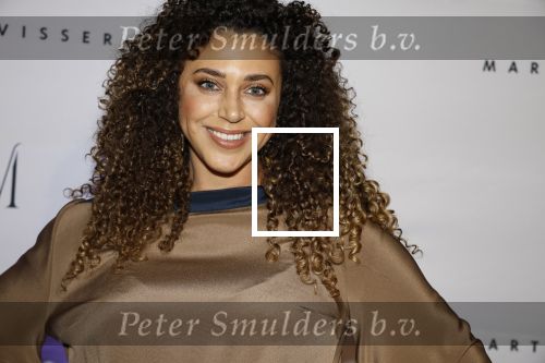 Amsterdam 6 november 2023
Premiere docu Mart Visser gemaakt door Marius Looijmans . De premiere was in het DeLamar theater. Yoelle Yade
