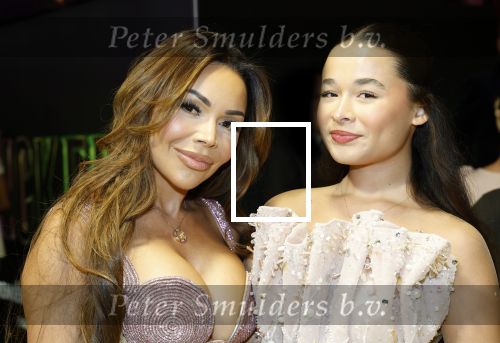 Amsterdam 3 december 2024
Premiere Wicked in Tuschinski. Amanda Balk met dochter Vegas