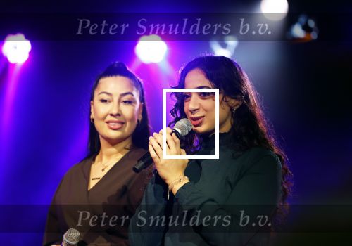 Hilversum 21 november 2024
Presentatie NPO Radio bij beeld en geluid . Angela Groothuizen