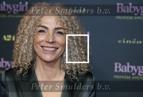 Amsterdam 25 november 2024
Premiere Babygirl in Tuschinski . Halina Reijn is de producente. Antoinette Beumer