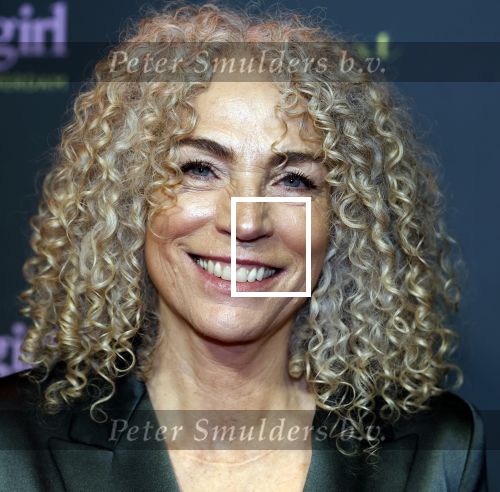 Amsterdam 25 november 2024
Premiere Babygirl in Tuschinski . Halina Reijn is de producente. Antoinette Beumer
