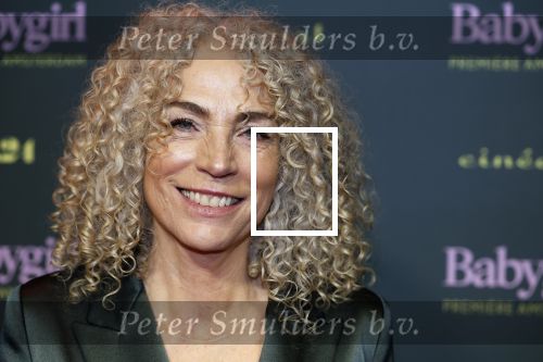 Amsterdam 25 november 2024
Premiere Babygirl in Tuschinski . Halina Reijn is de producente. Antoinette Beumer