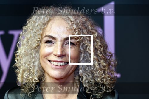 Amsterdam 25 november 2024
Premiere Babygirl in Tuschinski . Halina Reijn is de producente. Antoinette Beumer