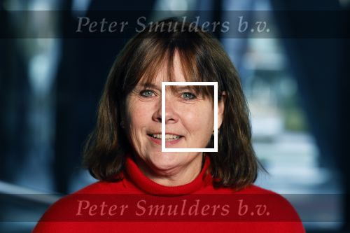 Hilversum 21 november 2024
Presentatie NPO Radio bij beeld en geluid . Astrid Kersseboom