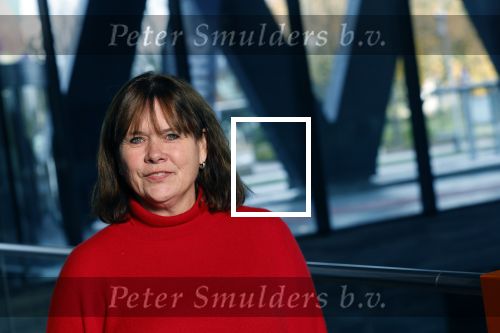 Hilversum 21 november 2024
Presentatie NPO Radio bij beeld en geluid . Astrid Kersseboom
