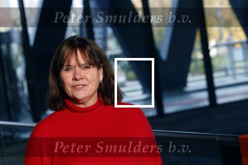Hilversum 21 november 2024
Presentatie NPO Radio bij beeld en geluid . Astrid Kersseboom