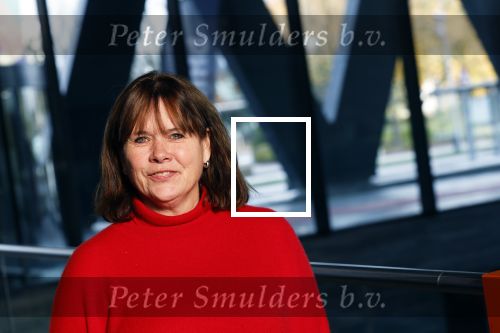 Hilversum 21 november 2024
Presentatie NPO Radio bij beeld en geluid . Astrid Kersseboom
