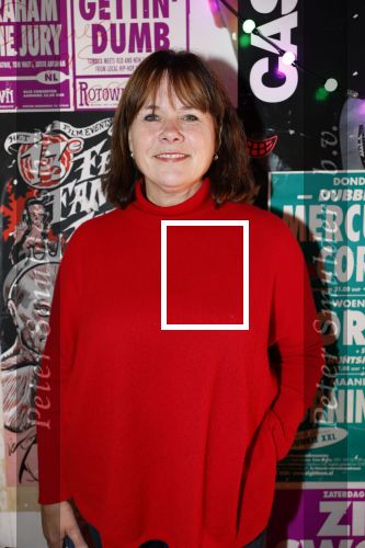 Hilversum 21 november 2024
Presentatie NPO Radio bij beeld en geluid . Astrid Kersseboom