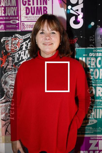 Hilversum 21 november 2024
Presentatie NPO Radio bij beeld en geluid . Astrid Kersseboom