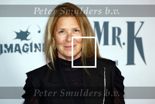 Amsterdam 24 oktober 2024
Rode loper verslag feestelijke opening
Imagine Fantastic Film Festival met de film Mr.K  van Tallulah Schwab met in de hoofdrol Crispin Glover. Barbara Sarafian
