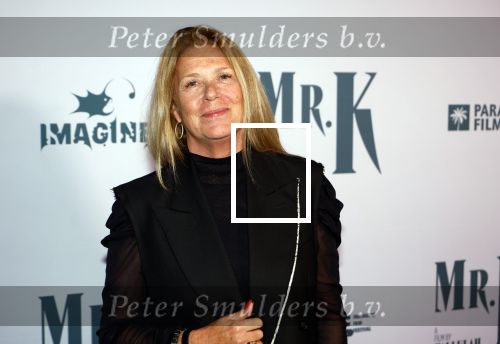Amsterdam 24 oktober 2024
Rode loper verslag feestelijke opening
Imagine Fantastic Film Festival met de film Mr.K  van Tallulah Schwab met in de hoofdrol Crispin Glover. Barbara Sarafian
