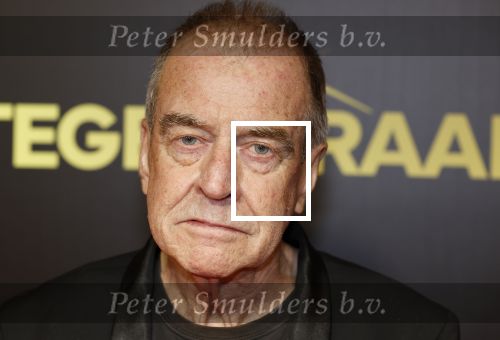 Amsterdam 4 november 2024
Premiere tegendraads in Tuschinski . Ben Sombogaart