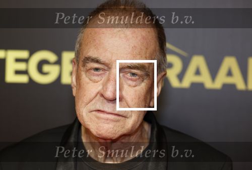 Amsterdam 4 november 2024
Premiere tegendraads in Tuschinski . Ben Sombogaart