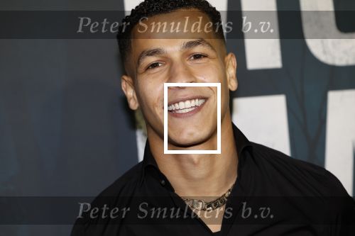 Amsterdam 5 november 2024
Premiere Videoland van  Mocro mafia in Tuschinski. Bilal Wahib