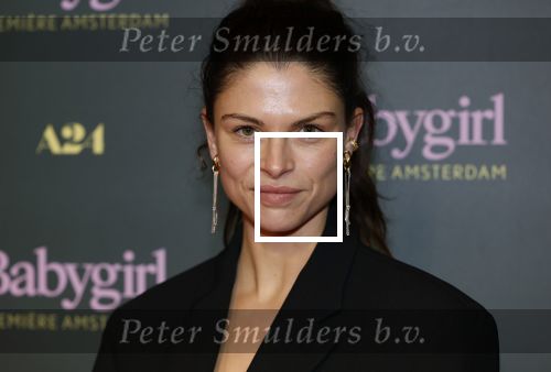 Amsterdam 25 november 2024
Premiere Babygirl in Tuschinski . Halina Reijn is de producente. Bo Maerten