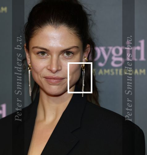 Amsterdam 25 november 2024
Premiere Babygirl in Tuschinski . Halina Reijn is de producente. Bo Maerten
