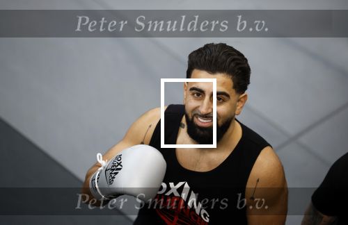 Hoofddorp 25 november 2024
Training Boxing influencers met oa Dave Roelvink Bravo Mark Schaaf  Geraldo Holzken Niek Holzken Roy  Meyer Goudtje Oussama Ahammoud Boer Ayoub en Sem v Dijk . Monica Geuze en Kaj Gorgels presenteren het .