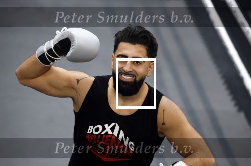 Hoofddorp 25 november 2024
Training Boxing influencers met oa Dave Roelvink Bravo Mark Schaaf  Geraldo Holzken Niek Holzken Roy  Meyer Goudtje Oussama Ahammoud Boer Ayoub en Sem v Dijk . Monica Geuze en Kaj Gorgels presenteren het .